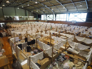 shigeru-japonya-G.jpg