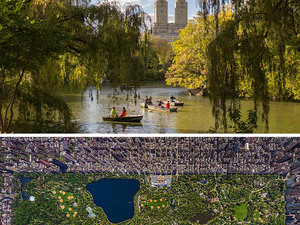 centralpark1.jpg
