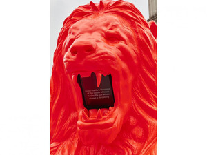 feed_lions_cropped_4.jpg