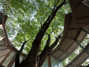 tezukaarchitects02.jpg