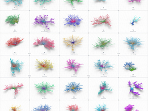 craigtaylor_coralcities2.jpg