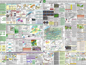 24962.jpg