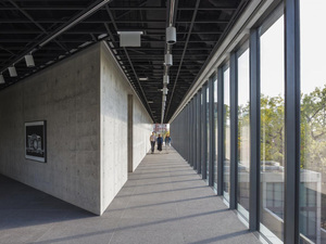 wrightwood-659_tadao-ando04.jpg