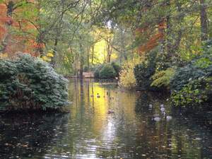 Berlin_Tiergarten2.jpg