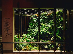 NYC_Reserve_Roastery_5.jpg