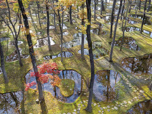 Junya-Ishigami_WaterGarden_02.jpg