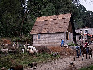Ocuilan House