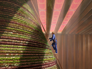 dutch-pavilion-dubai-expo-2020_01.jpg
