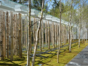 birch-moss-chapel-kengo-kuma02.jpg
