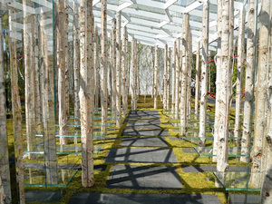 birch-moss-chapel-kengo-kuma03.jpg