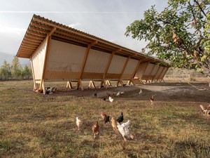 Tavuklar Evi (SO? Mimarlık Fikriyat)