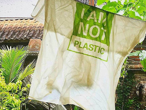 Avani-Eco-Bags-1.jpg