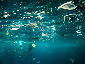 plastic_pollution.jpg