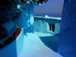 5T (4).jpg