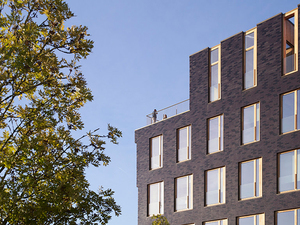 TERENEO_Offices_1.jpg