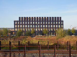 TERENEO_Offices_2.jpg