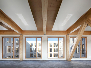 TERENEO_Offices_4.jpg
