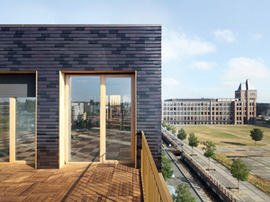 TERENEO_Offices_5.jpg