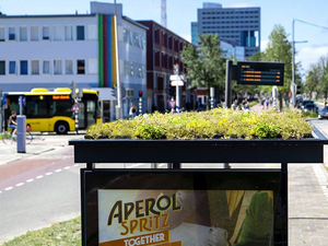 utrecht_bee_2.jpg