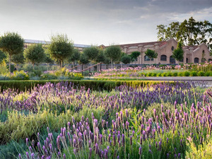 Parque_Central_3.jpg