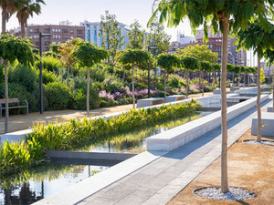 Parque_Central_5.jpg