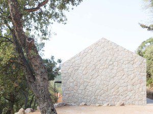 wyto-cor (3)