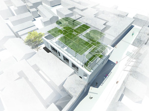 new bird view.jpg