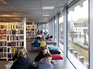 Library_MG_8110003.jpg