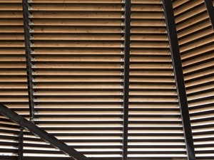 160522_loyly_053.jpg