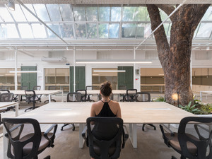 09022019 - OCTAVA ARQUITECTURA ph G Viramonte-8492.jpg