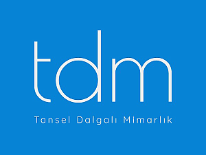 TDM-logo.PNG