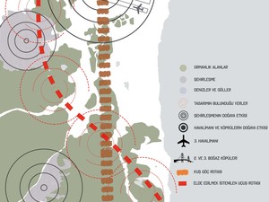 2-analiz1.jpg