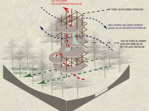 6-diagram2.jpg