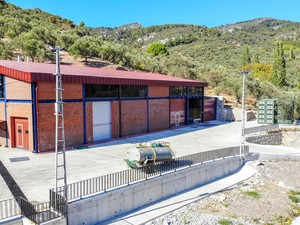 Mavras Zeytinyağı Fabrikası (3).JPG