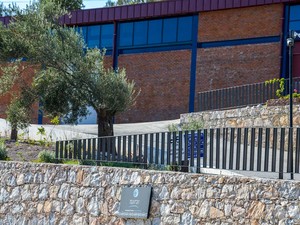 Mavras Zeytinyağı Fabrikası (4).JPG