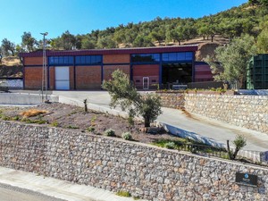 Mavras Zeytinyağı Fabrikası (5).JPG