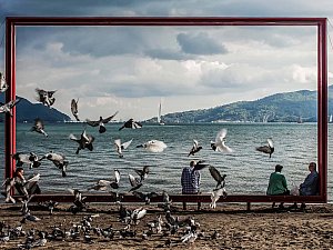 The Frame