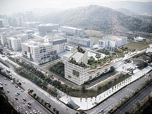 Hong Kong Çin Üniversitesi (Shenzhen) Faz II Şematik Tasarım ve Mimari Tasarım Geliştirme Önerisi
