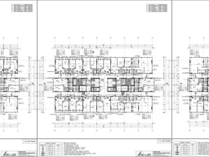 z (11).jpg