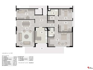 y (11).jpg