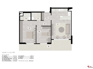 y (2).jpg
