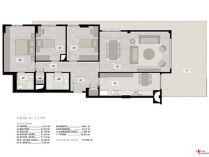 y (6).jpg