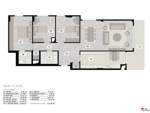 y (7).jpg