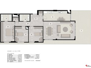 y (8).jpg