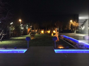 b evi (32).jpg