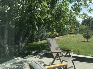 b evi (36).JPG