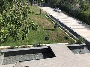 b evi (42).JPG