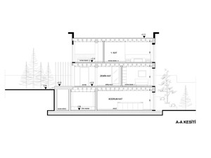 b evi (50).jpg