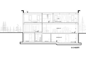 b evi (51).jpg