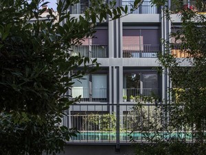 ala (1).jpg